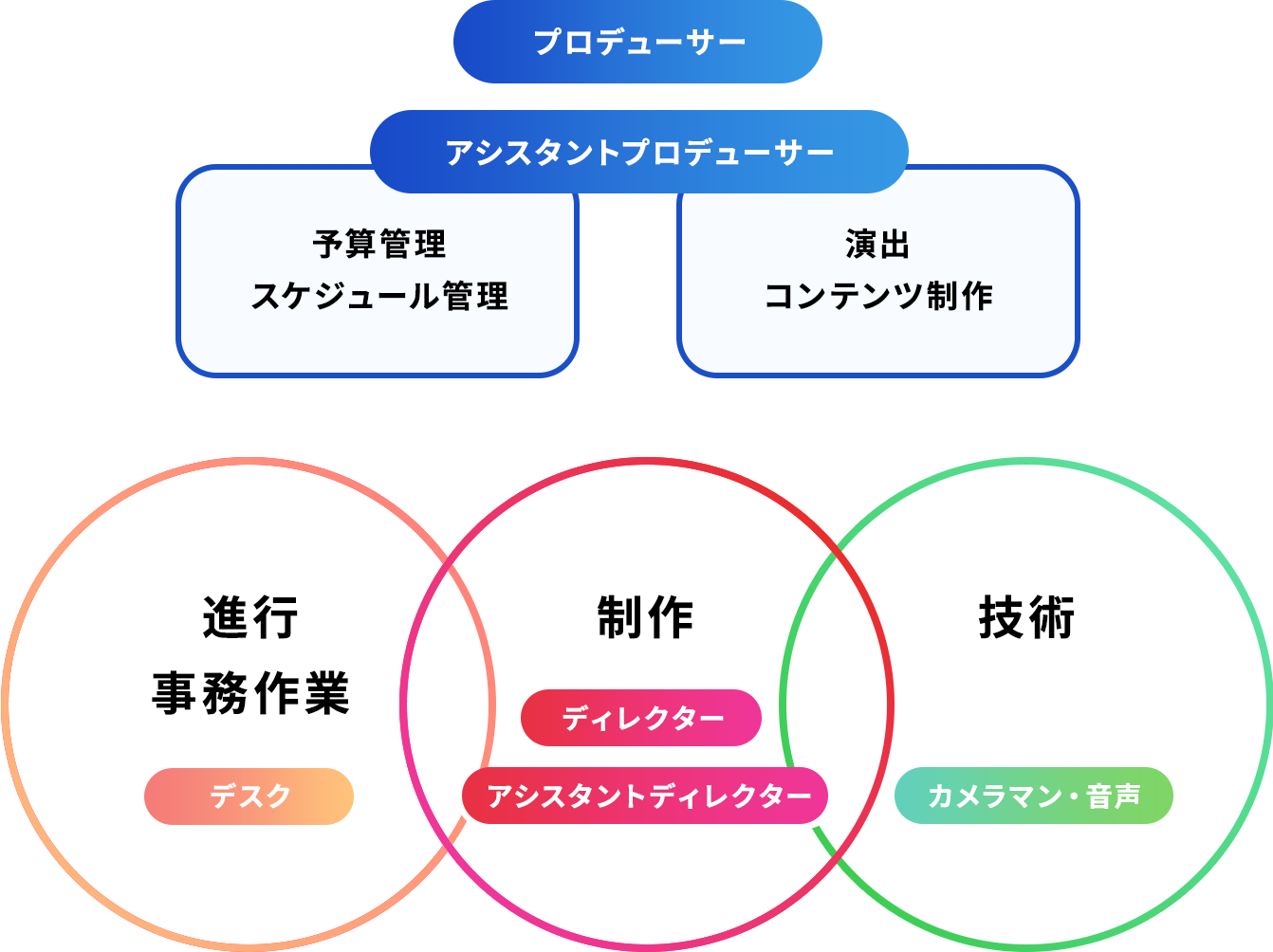 【プロデューサー】→【アシスタントプロデューサー】予算管理、スケジュール管理、演出、コンテンツ制作→【ディレクター】→【アシスタントディレクター】制作、【カメラマン・音声】技術、【デスク】進行・事務作業